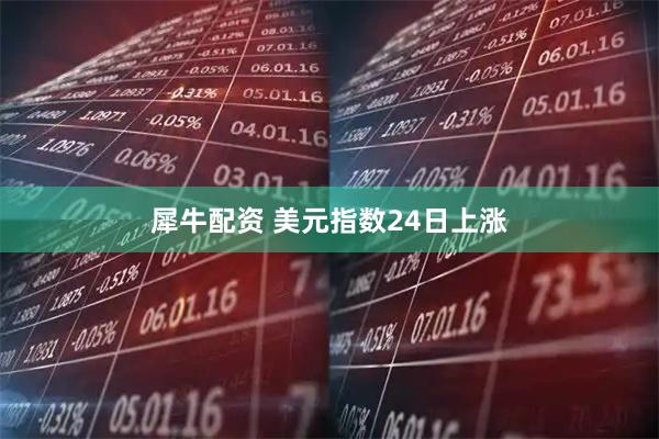 犀牛配资 美元指数24日上涨