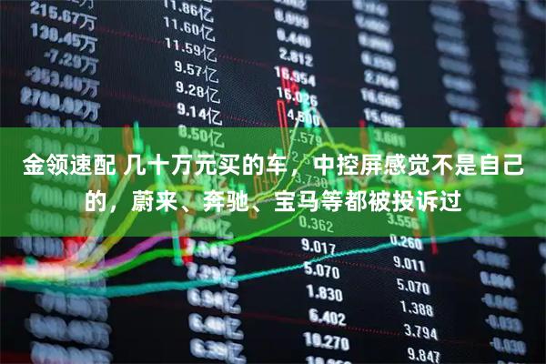 金领速配 几十万元买的车，中控屏感觉不是自己的，蔚来、奔驰、宝马等都被投诉过